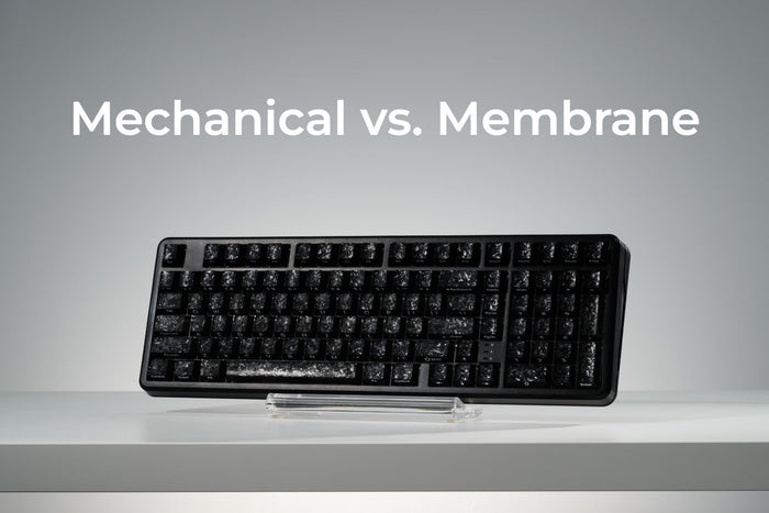 Mechanical Keyboard vs. Membrane Keyboard