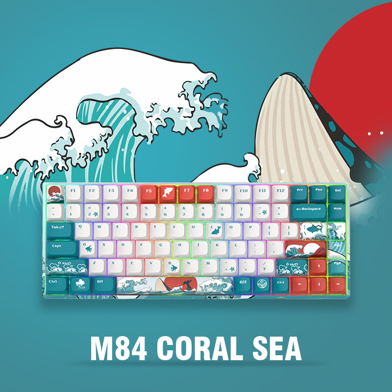 XVX Coral Sea Series