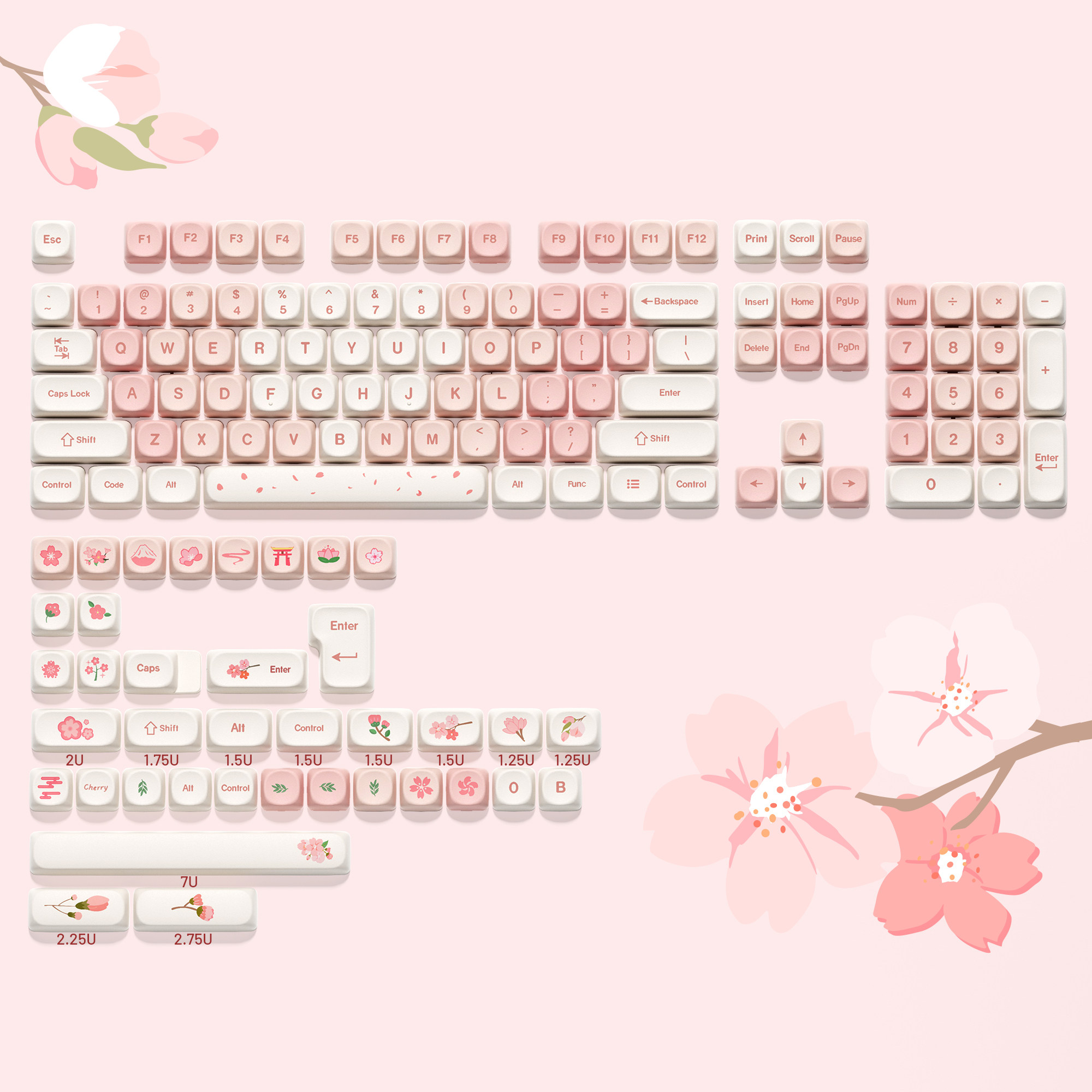 MOA Profile Keycap | XVX Keyboard