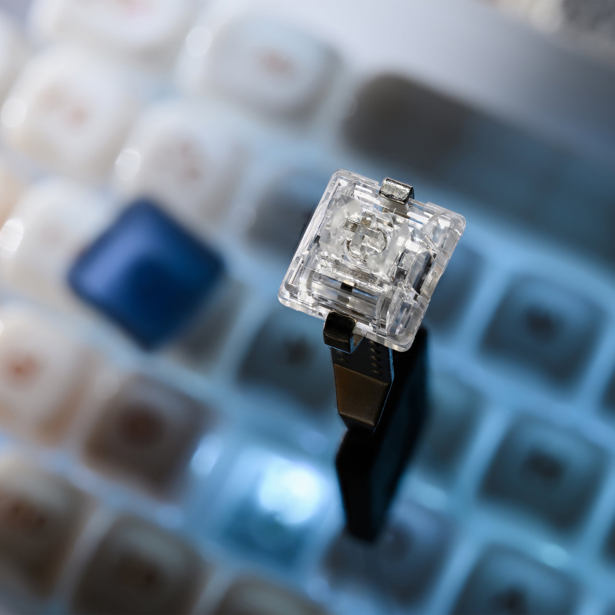 XVX C67 AcriCat Mechanical Keyboard | XVX Keyboard