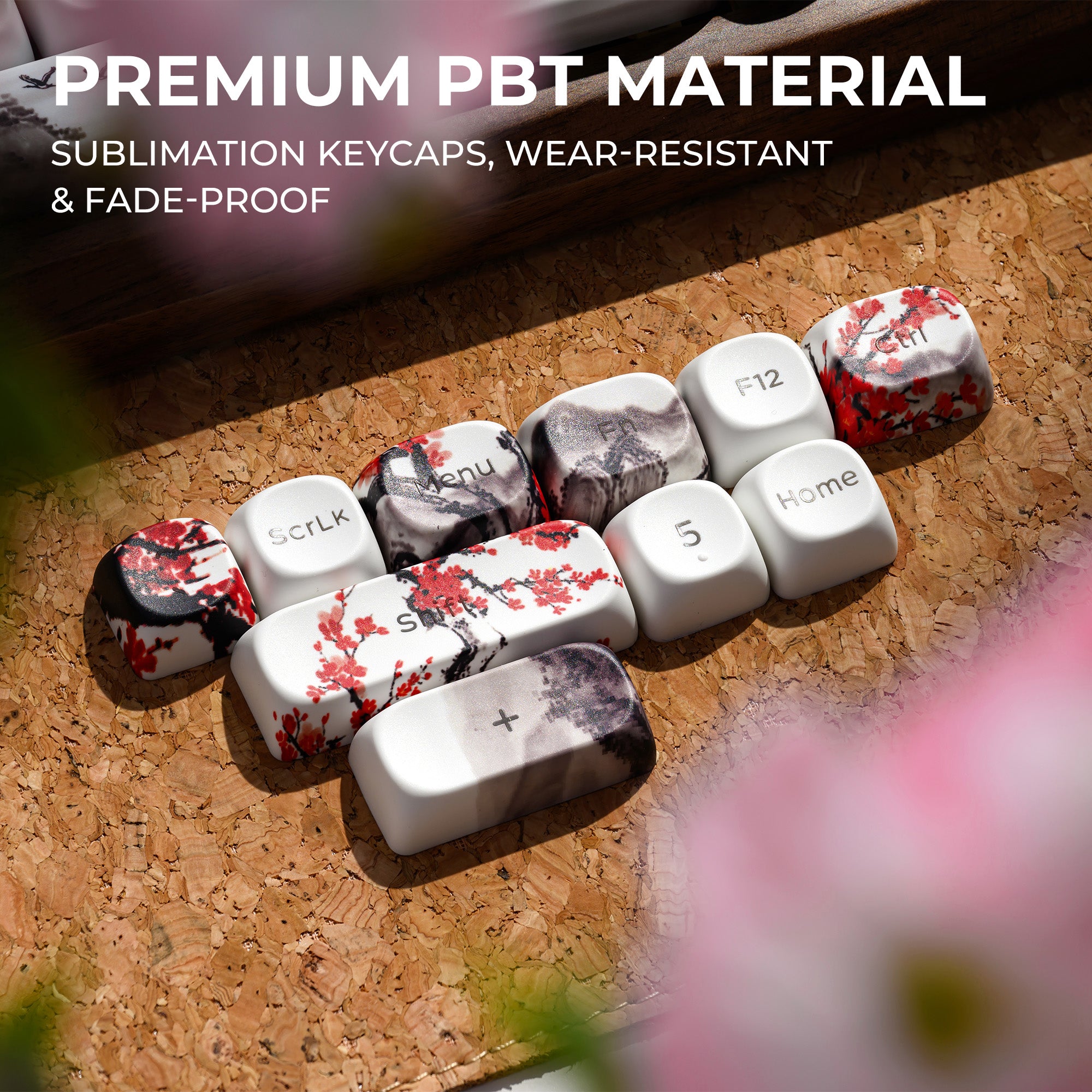 Mono MOA Shine-Through PBT Keycap | XVX Keyboard